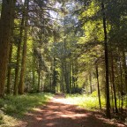 Le sentier des Fumas