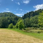 L’Arboretum du Vallon de l’Aubonne