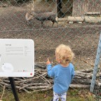 Le Bois de la Bâtie